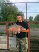 i fish